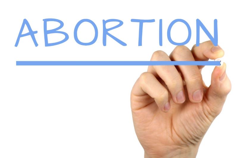 7 Basic Facts About Abortion You Need To Know.